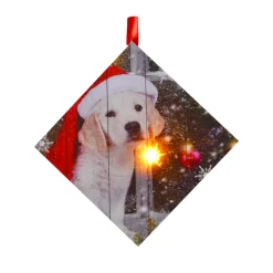 Clearance Christmas Forever CANVAS 5″X5″ 1 LED W/ PUPPY W/ SANTA HAT
