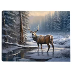 Sale Christmas Forever CANVAS 16″x12″ LIGHT UP REINDEER 30PCS LED FIBERS+6/18TIMER