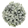 New Christmas Forever HANGING BALL BOXWOOD 5.5″ FROSTED
