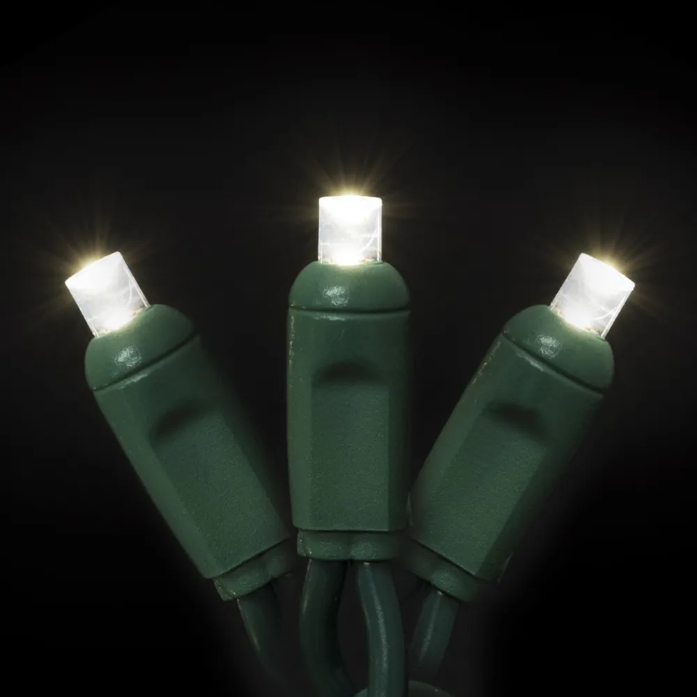Christmas Forever LIGHT LED I/D CONICAL 50L WARM WHITE 17′ BULK GREEN WIRE