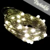 Clearance Christmas Forever LIGHT LED I/D MICRO DOT 50L TWK. WARM WHT. 120V 17.5′