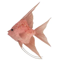 Sale Christmas Forever ORN SEA POLY FOAM FISH 7″ X9.5″ CORAL W/ GLITTER & SEQUINS