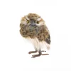 Online Christmas Forever OWL BROWN/GRAY 6″ LEOPARD PRINT STANDING