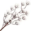 Hot Christmas Forever SPRAY BERRY 27.5″ WHITE CLUSTER/ FROSTED