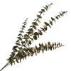 Outlet Christmas Forever SPRAY EUCALYPTUS 34.5″ CHAMPAGNE GLITTER