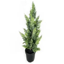 Outlet Christmas Forever TREE NAT. CEDAR 38″ W/ BLACK POT