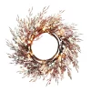 Christmas Forever WREATH FROSTED ICED 24″ W/ 24 LED LIGHTS BROWN / CLEAR
